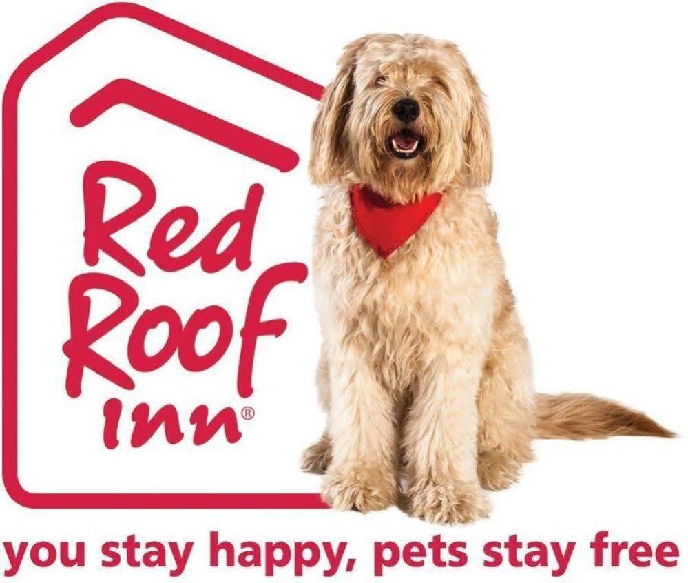 Red Roof Inn Phoenix North - I-17 At Bell Rd Exterior photo